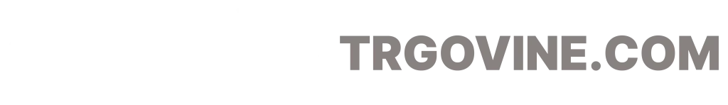 spletne-trgovine.com